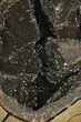 Septarian Dragon Egg Geode - Black Crystals #145255-3